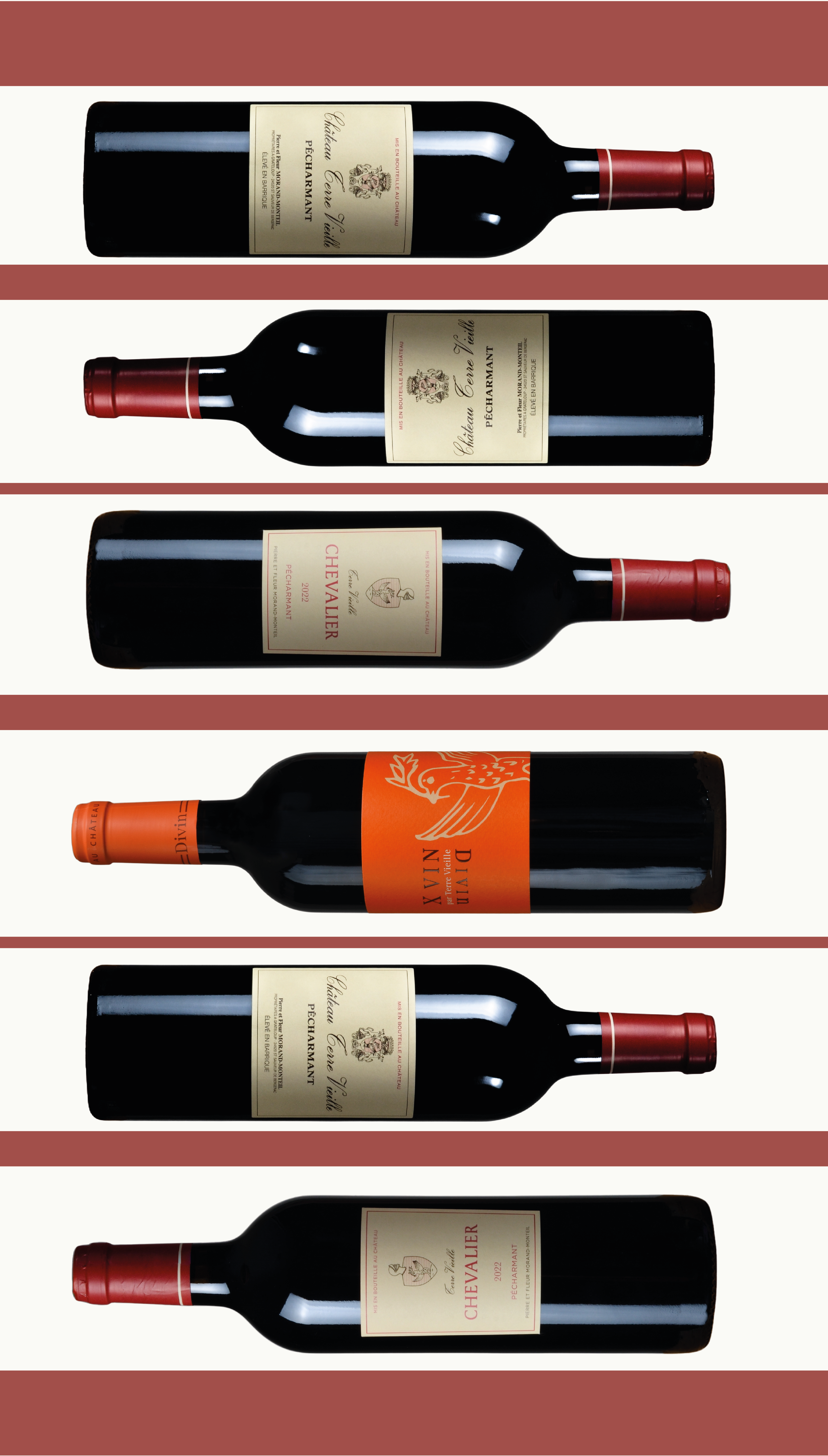 Six bouteilles de vin de Terre Vieille, alignées sur un fond rayé rouge basque, mettant en valeur la diversité des vins du domaine.