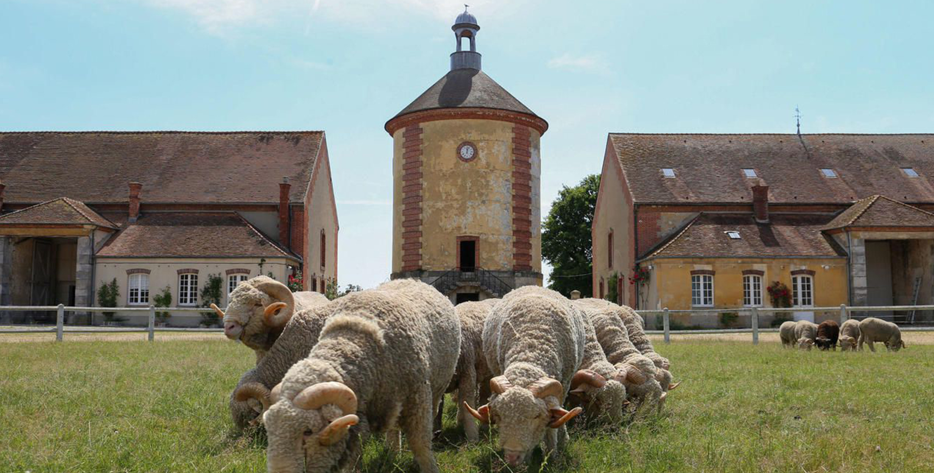 groupe de moutons broutant de l'herbe devant le pigeonnier de ka bergerie nationale de Rambouillet bâtiments en arrière plan